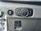 2024 Ford Transit-350 Passenger Van XLT