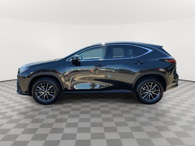 2024 Lexus NX 350 350 Base